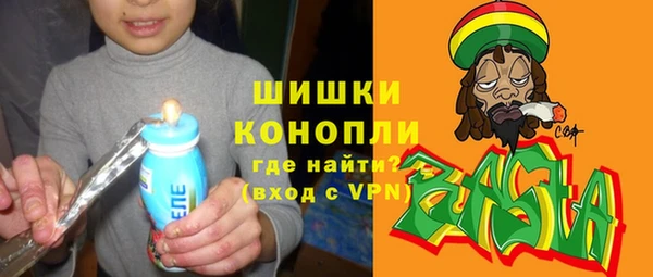PSILOCYBIN Бородино