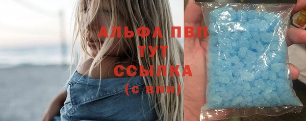 PSILOCYBIN Бородино