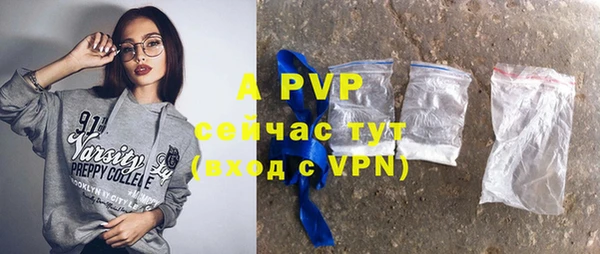 бошки Белокуриха