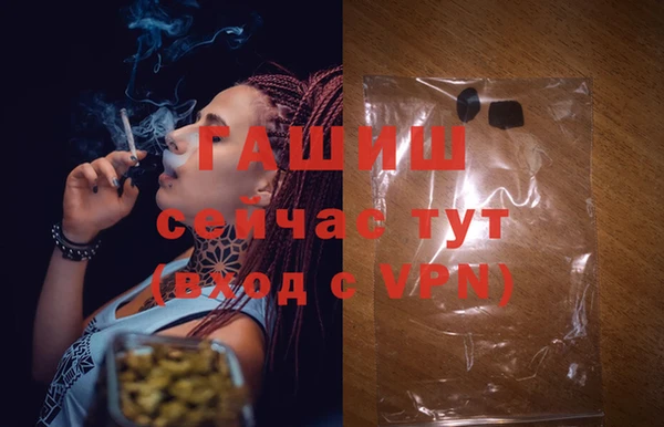 PSILOCYBIN Бородино