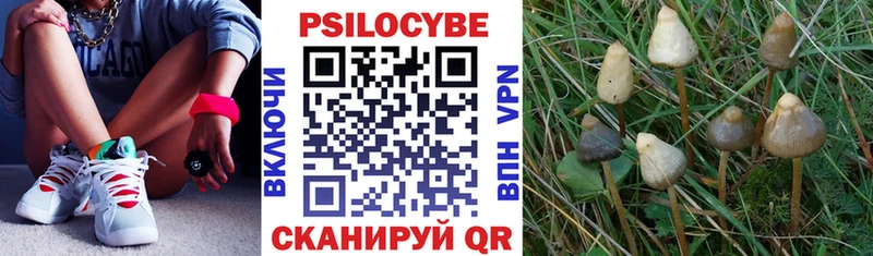 Галлюциногенные грибы MAGIC MUSHROOMS  KRAKEN маркетплейс  Высоковск 